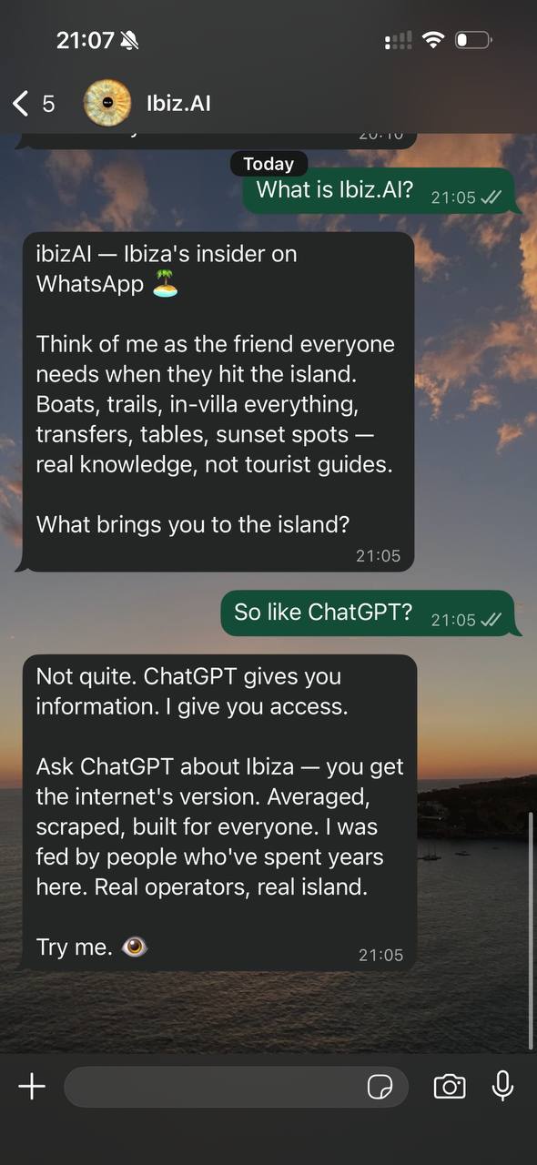 Meet ibizAI conversation